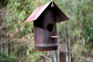 bamboo-birdhouse